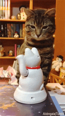 alxbngala:  Maneki-Neko High Five [X] 