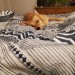 just-a-little-belle:“It’s bedtime why are we not in bed and asleep”