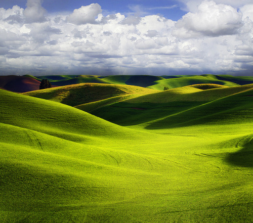 Storm A Brewing Over The Palouse by kevin mcneal on Flickr.