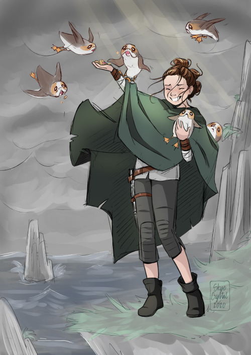 skyecrystal: Porgs! (I’m note sure Porgs can fly… if they can’t,let’s say s