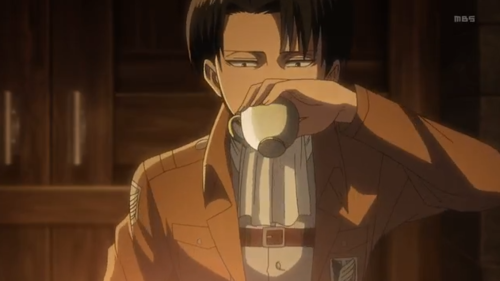 itsraviolibitch:  And in other news   Captain Levi doesn’t know how to properly hold shit 