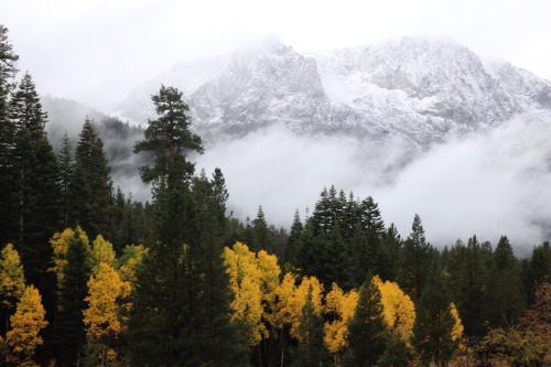 nuhstalgicsoul:It makes me so happy to see the colors of autumn in the mountains