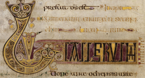 artofthedarkages:Gospels, MS 58, Trinity College Dublin