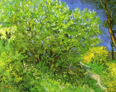 goodreadss:Lilacs, Vincent van Gogh 1889View of the Church of Saint Paul de Mausole, Vincent van Gog