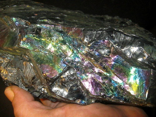 Sex mineralists:  Peacock Coal (Rainbow Anthracite) pictures