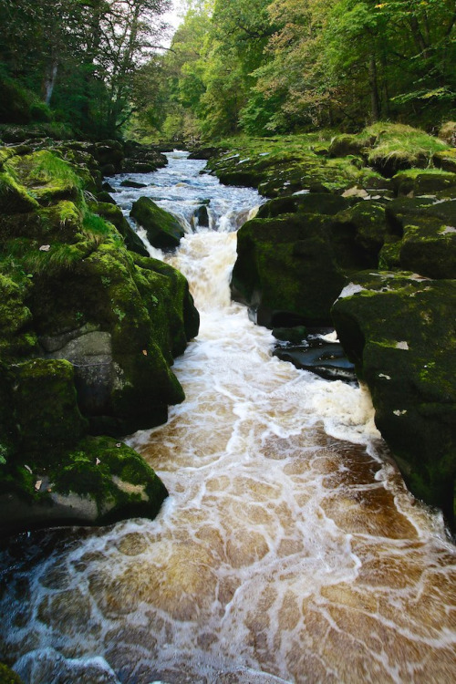 wanderthewood:The Strid on the River Wharfe, Yorkshire, England by PhillHepp