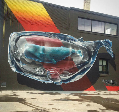 nevver: Rochester