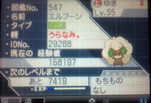 Uranami Uranami