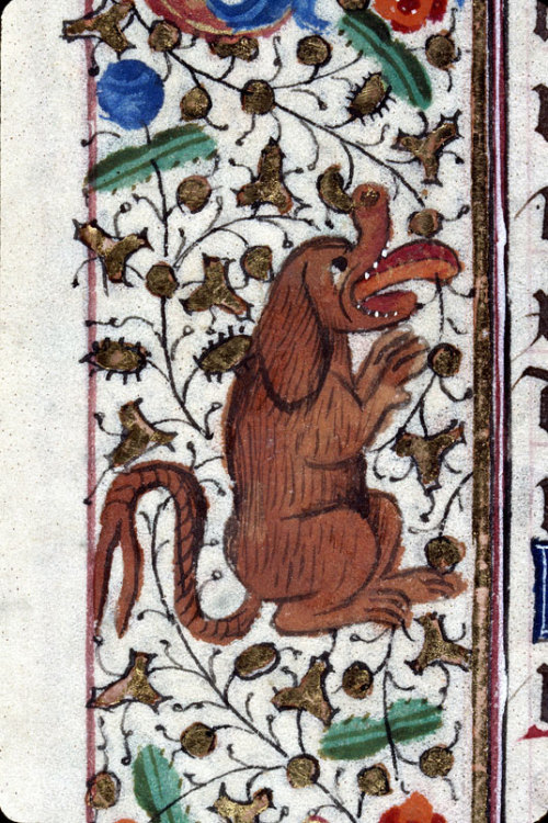 dragon dog book of hours, Savoie 15th century. Clermont-Ferrand, Bibliothèque municipale, ms.