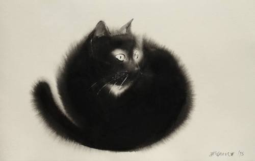 Cat illustrations by Endre Penovác. Ink.| Exquisite art, 500 days a year. |