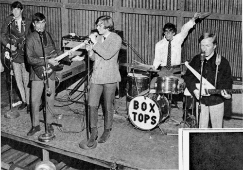 The Box Tops - Alex Chilton