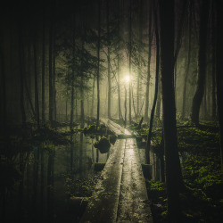 darkling-faerie-witch:  Pathway by MikkoLagerstedt