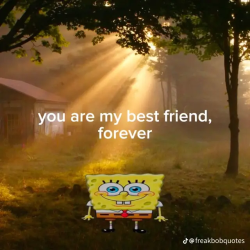 The Reader To Luke After Chapter 4