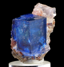 mineralists:  Rare blue Halite on Sylvite from Intrepid Potash East Mine, New Mexico