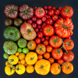 jedavu:  Color Coded Food and Flowers Photographed by Emily Blincoe Photographer Emily Blincoe (previously) continues to make us smile with her arrays of food and plants perfectly organized by color. Blincoe collects every color permutation of tomatoes,