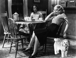 rootbeerchronicles:  Barbara Stanwyck is