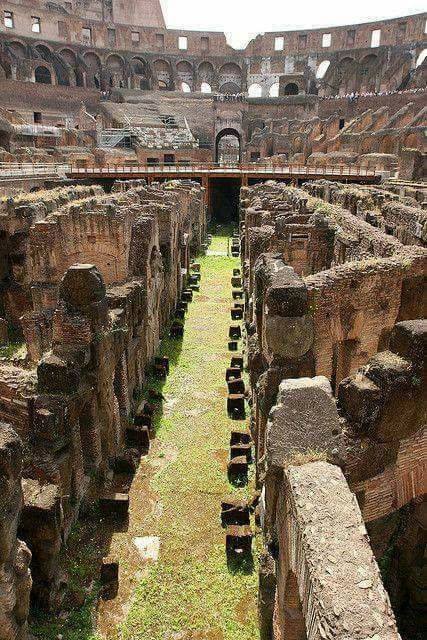 ancientorigins:Inside the Colosseum Rome Italy