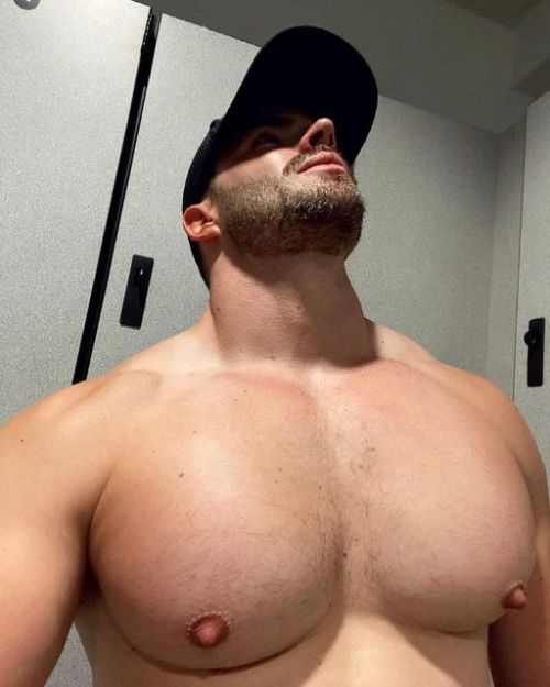 nipleatherdaddy:  Not sure about the Chest