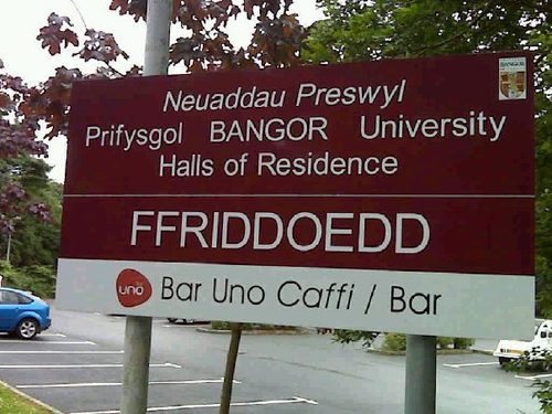 thetechnicolorofthemoment:  improbablenormality:  humourous-misadventures:  megasilly:  You know what language I love? Welsh. I mean  how  can you not   love  this ridiculous  amazing language?  you know our word for ‘microwave’ is ‘popty ping’,