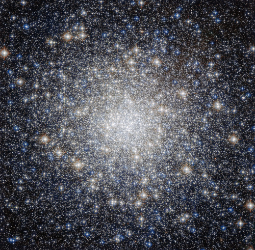 byzantienne: ceruleancynic: space-pics: All that glitters / Source / by Hubble Space Telescope / ESA