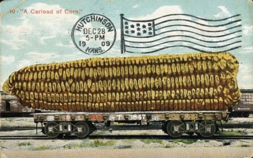 Sex Tall-Tale Postcard - A Carload of Corn pictures
