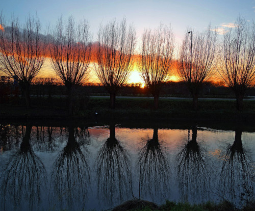 Herhaling van Knotwilgen (Repetition of Willows) - LuckyhuugPhotographySource:www.footo.nl