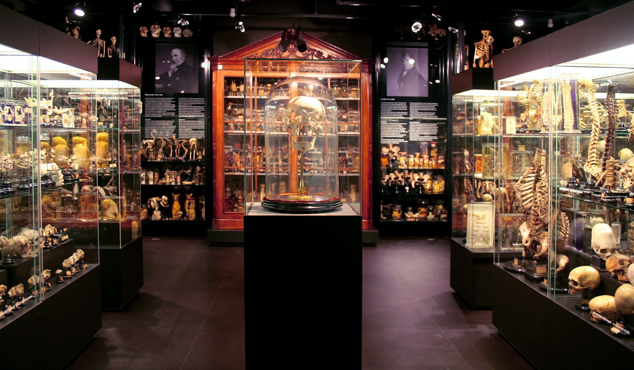 cartilage-and-fluid:  pythox:  Vrolik Museum, Amsterdam  I kind of want to live there