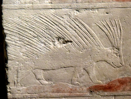 Ancient Egyptian relief sculpture (painted limestone) of a porcupine. Detail of a wall fragment from