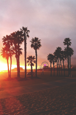 bejarj:  Santa Monica pier  