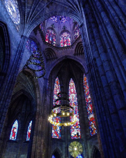 infected:    Templo Expiatorio del Santísimo Sacramento, Mexico by   Rafael Cedano