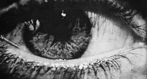 nevver:  The eyes have it: Captured on paper, Sonja Gangl
