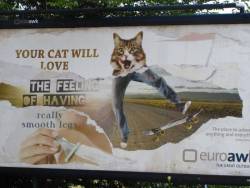 Al-Grave:  Omgbuglen:  Your Cat Will Love..  This Is The Point Of The Ad. Its An