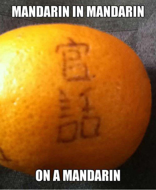 advice-animal:  Mandarin on a mandarin…http://advice-animal.tumblr.com/ 