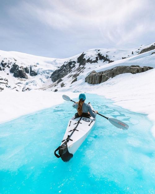 Breaking through the ice  British Columbia - Taylor Burk Photography