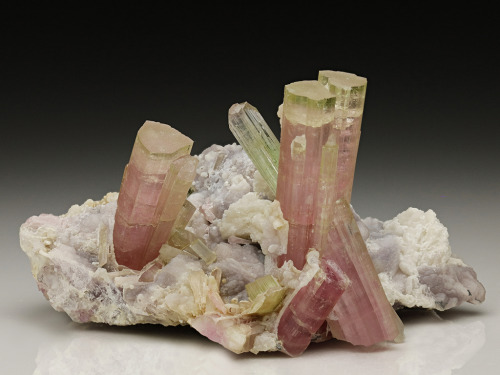Tourmaline with Lepidolite and Albite - Paprok, Nuristan Province, Afghanistan