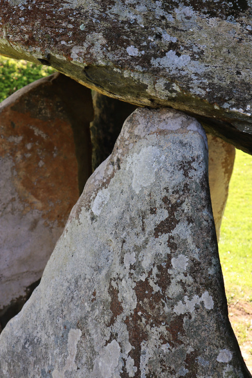 Carreg Coetan Arthur Burial Chamber, Pembrokeshire, 5.5.18.These stones are all that remain of a cha