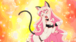 Sexy Catgirls And Stuff