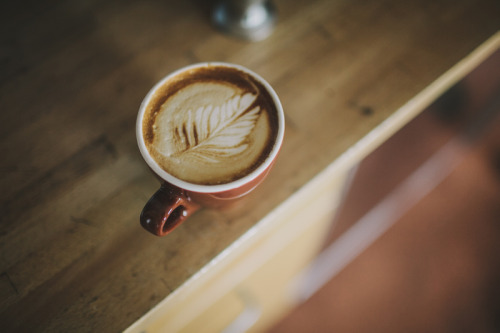 theantiquated: Kickapoo Coffee Roasters | Ray + Kelly Photography