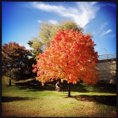 aviewfromtwowheels:  Lunch cx ride