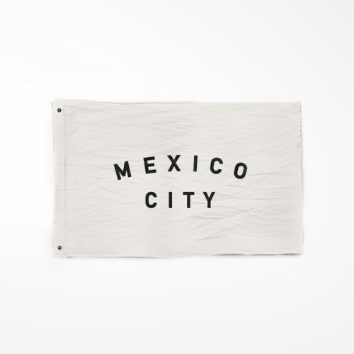 100% of all money goes to relief aid in Mexico City. available at thewildstandard.com