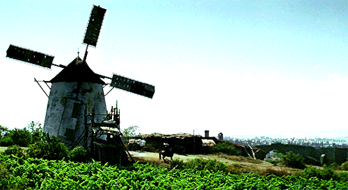antoniosbanderas:This world is an uncertain realm, filled with danger. Honor underminded by the purs