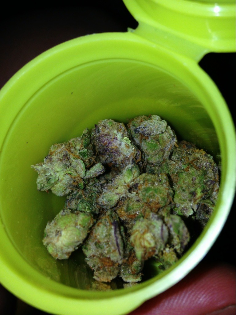 reddlr-trees:  Girl Scout Cookies. Double dog dare you to zoom in 