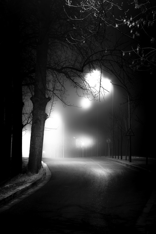 morethanphotography:  Where at Night the wood silence plays by 403830713 