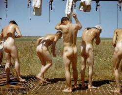 cumkeenpig:  men in the field 