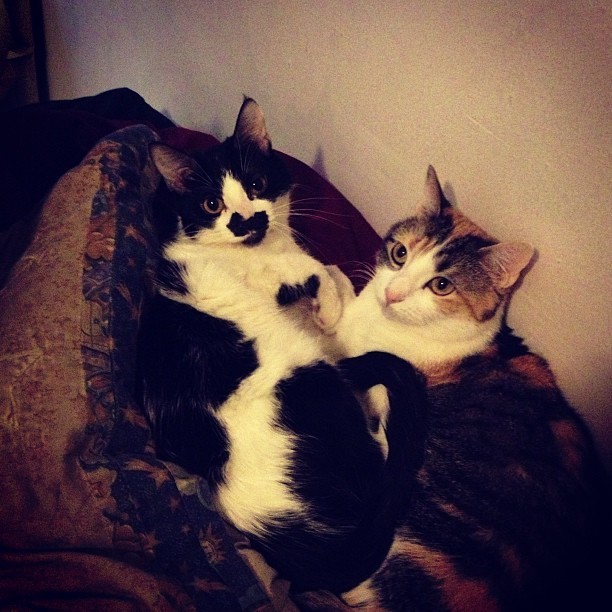 beefsquatch:  Sssssssssssloots.  my babies ♥