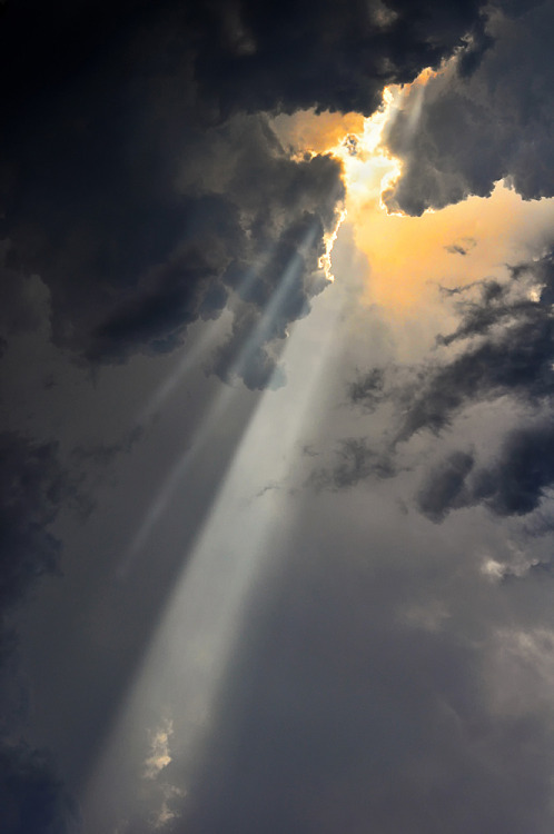 ethereo:   500px / Let There Be Light by Sorin Petculescu 