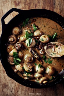 in-my-mouth:  Mushroom Stew