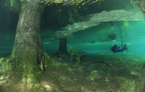 b-ak3d: helenofdestroy:  Grüner See (Green Lake) is a lake in Styria, Austria. In the winter you’ll 