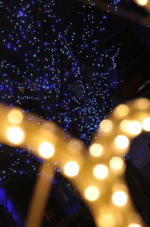 Christmas in Osaka, Japan