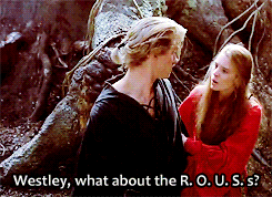 thefingerfuckingfemalefury: rionsanura:  livelifeonlegendary:  This got even funnier when I realized that to shoot it, essentially someone had to hurl a massive rat puppet at Cary Elwes.  NO NO I HAVE SAID THIS BEFORE BUT IT’S EVEN BETTER A GUY IN A